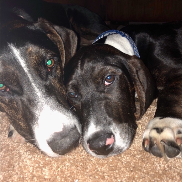 Meet your posher ! Veronica - Picture 3 of 3